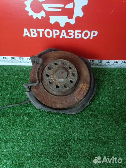 Поворотный кулак задний Volkswagen Passat B6