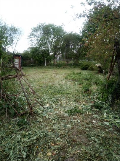 Участок 37 сот. (ИЖС)