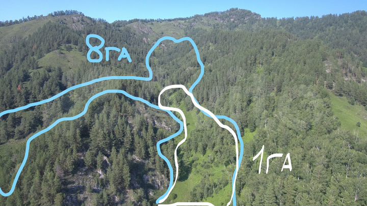 Участок 8 га (СНТ, ДНП)