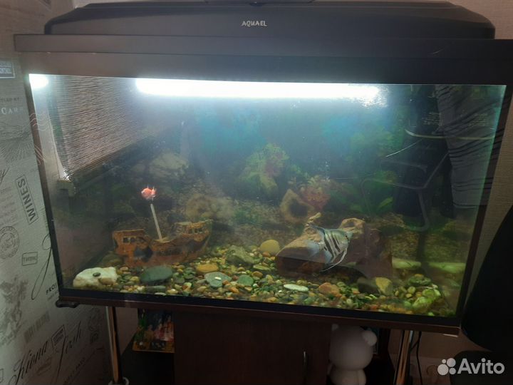 Аквариум