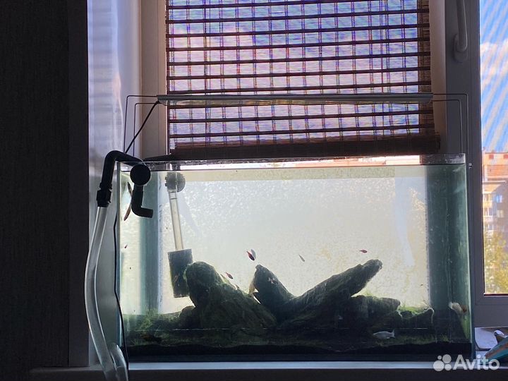 Аквариум