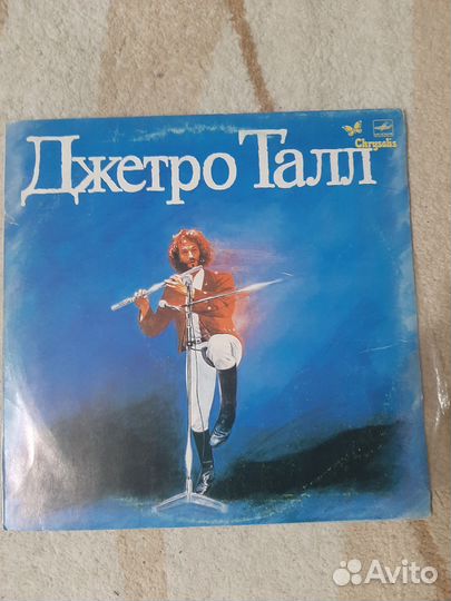 Джетро Талл