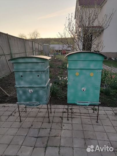 Пчелы и улья