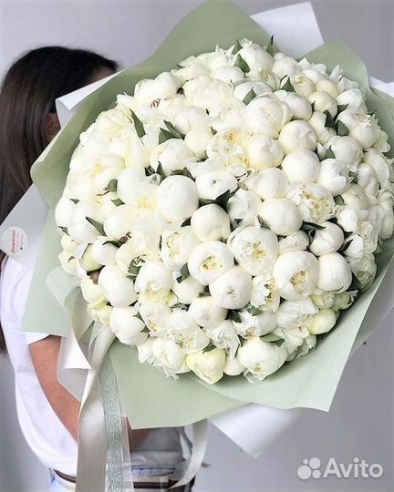 Пионы букеты