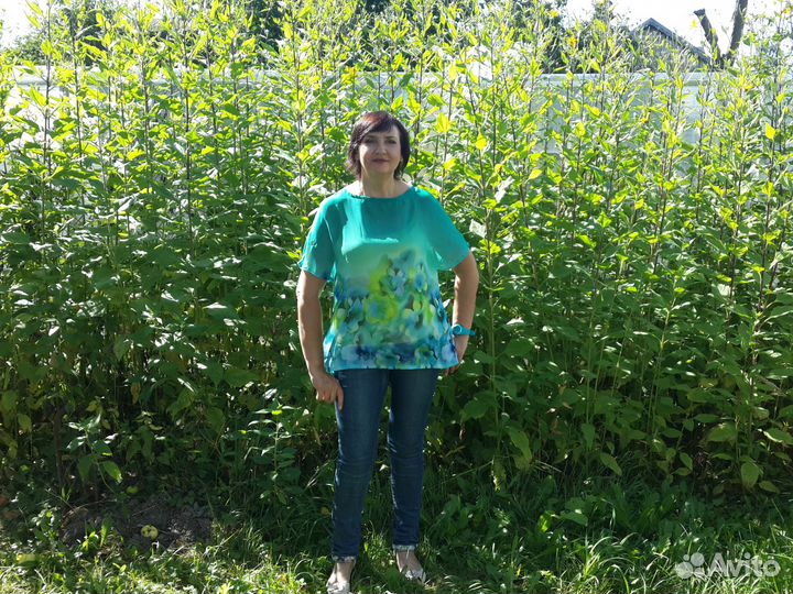 Топинамбур (земляная груша)