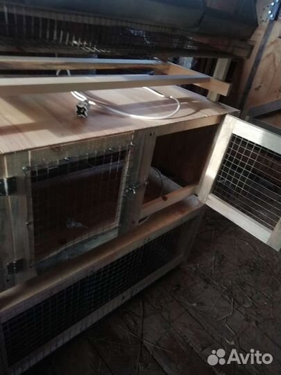 Клетки и брудеры для птицы