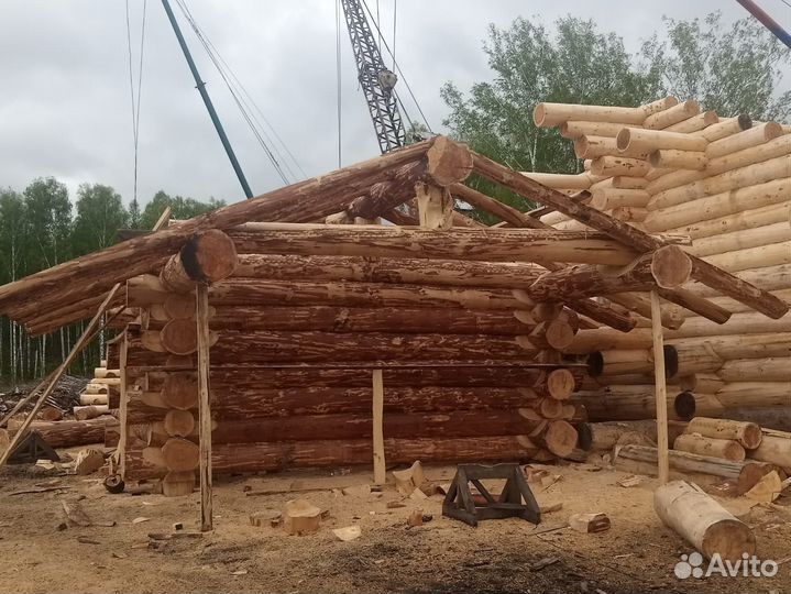 Строительство домов из бревна