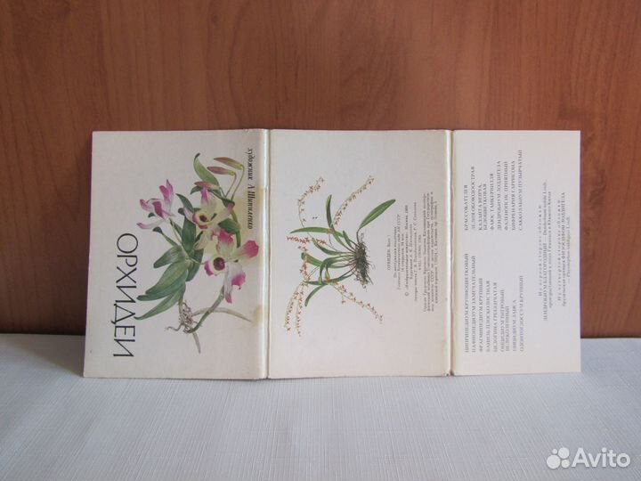 Открытки Орхидеи, Тюльпаны