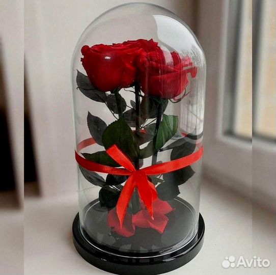 Вечная роза в колбе
