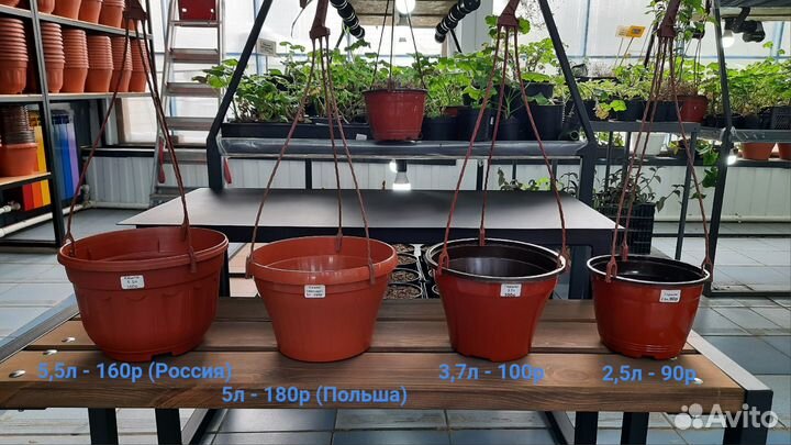 Кашпо для цветов подвесное
