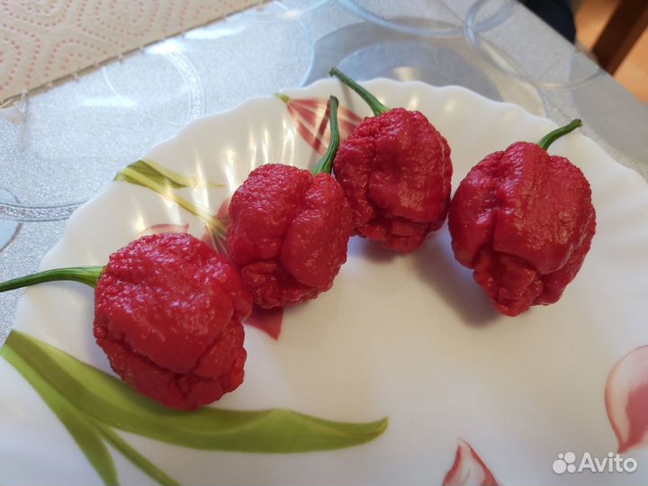 Перец острый Carolina Reaper, Trinidad Scorpion