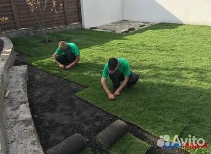 Газон рулонный