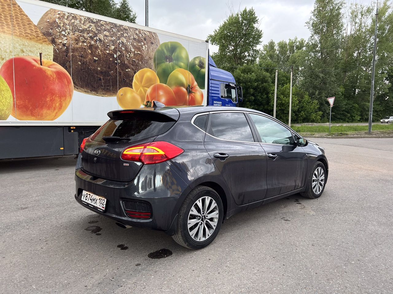 Kia Ceed: фото владельца