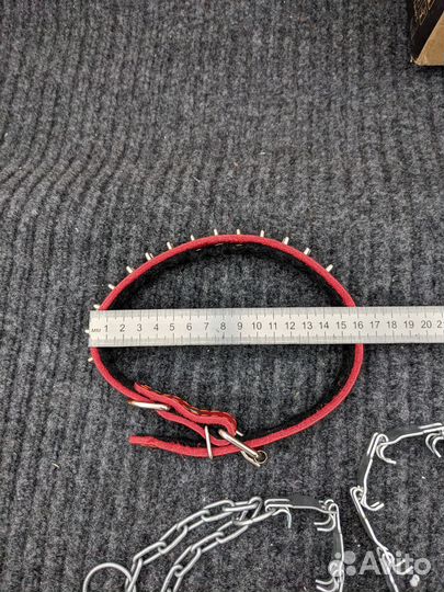 Ошейник для собак