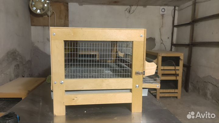 Клетки для перепелов бу