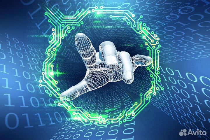 Программист, Python