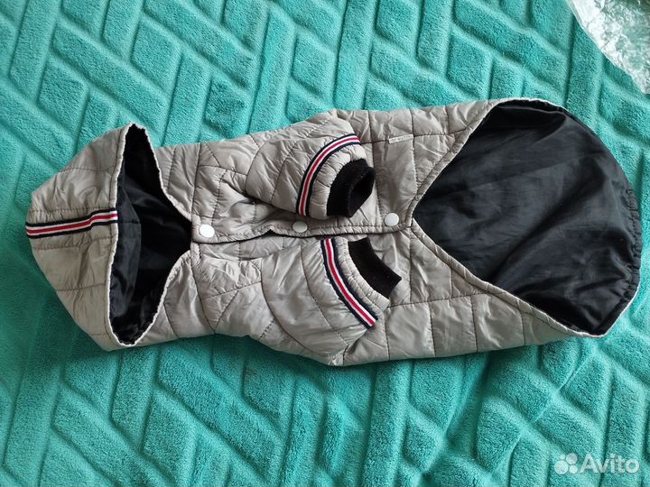 Жилетки на собачку