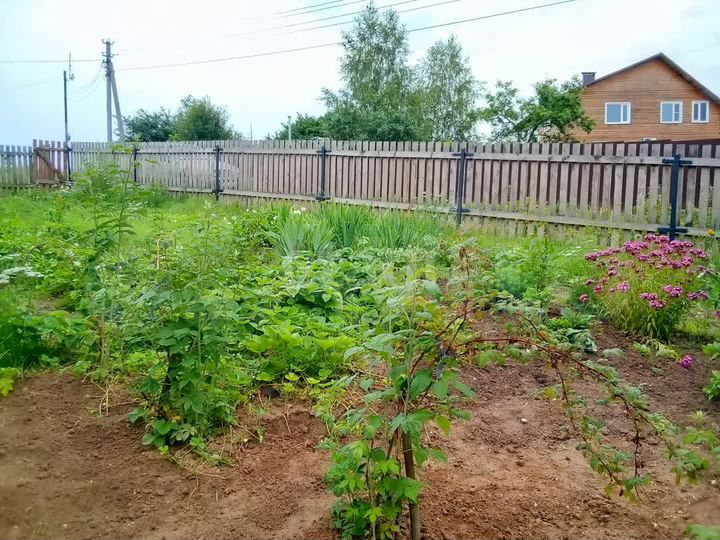 Участок 10,1 сот. (СНТ, ДНП)