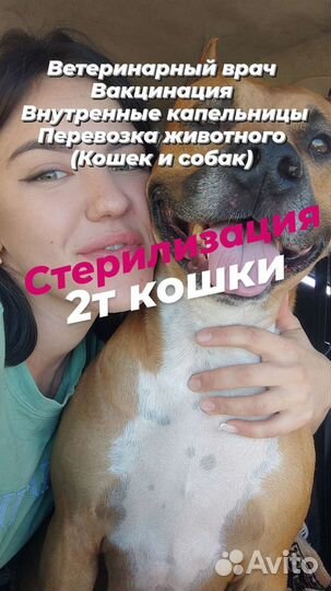 Ветеринарный врач на дом (кошки и собаки)