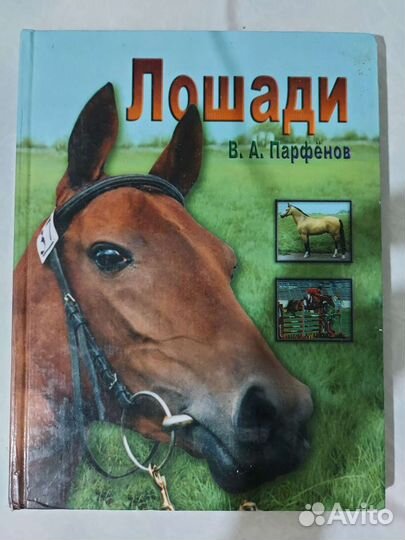 Энциклопедия 