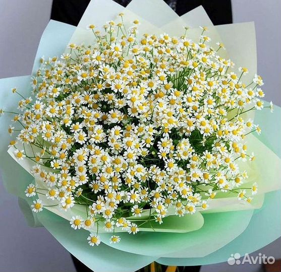 Букеты. Доставка ромашек