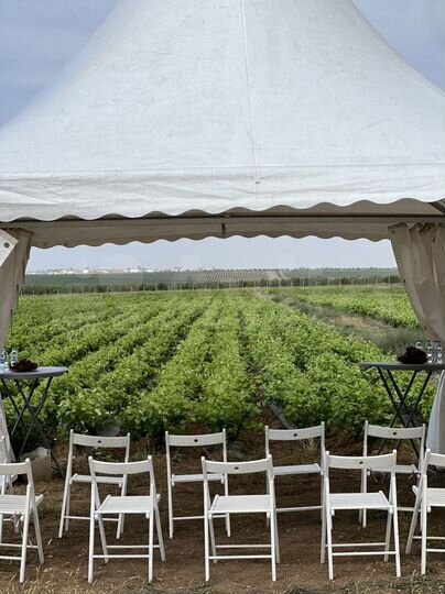 Участок 3 га (СНТ, ДНП)