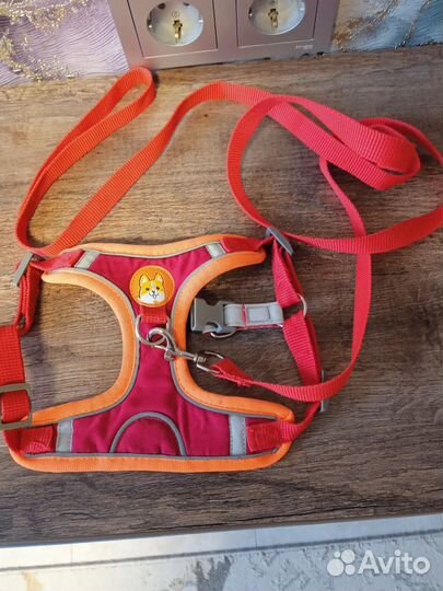 Шлейка для собак с поводком