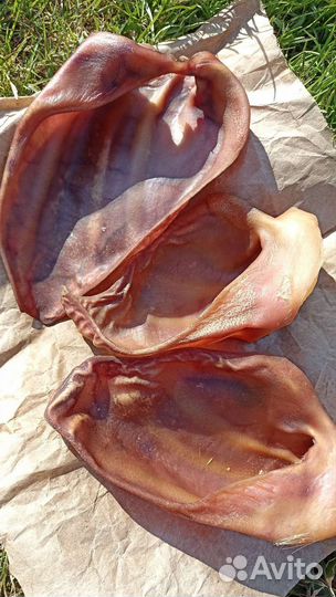 Лакомства для собак Свиные уши