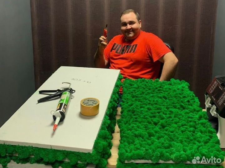 Стабилизированный мох, ягель, кочка, пласт, панно