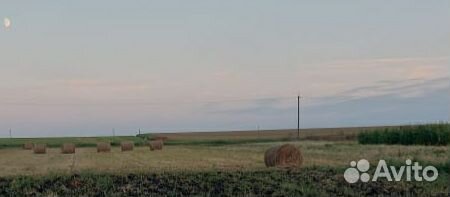 Тюк соломы пшеничной