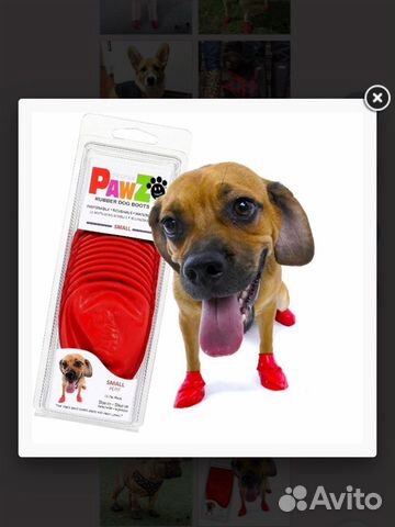 Pawz dog boots, обувь для собак, носки