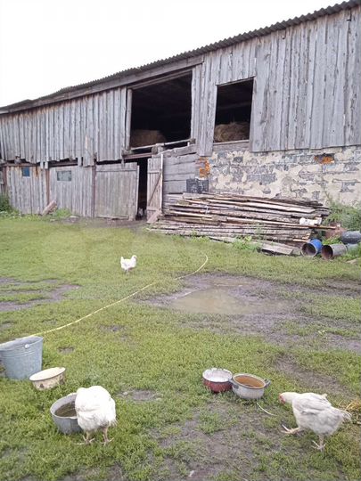 Дом 60 м² на участке 20 сот.