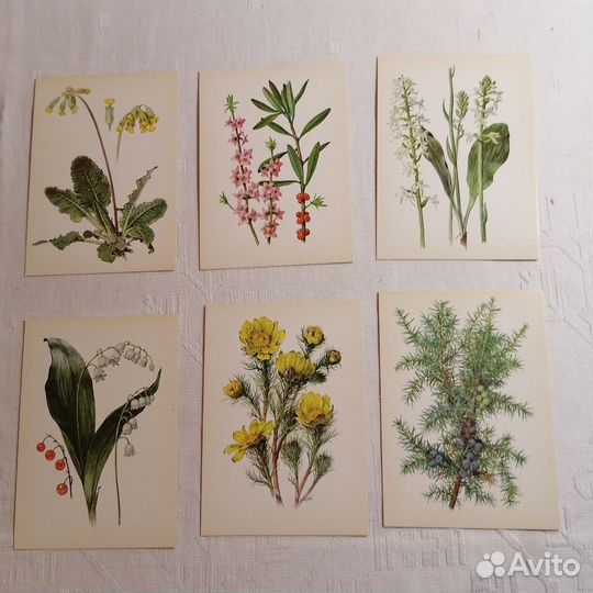 Набор винтажных открыток 