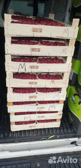 Малина отборная вкусная сладкая с бесплатной доста