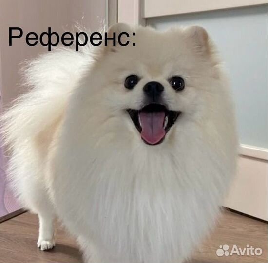 Рисую животных на заказ