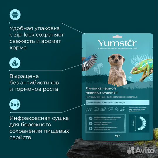 Личинка чёрной львинки сушеная 20 мм, 70гр Yumster