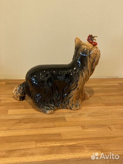 Goebel йоркширское терьеры