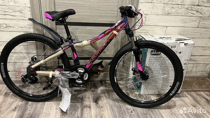 Novatrack catrina 24 disc