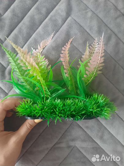 Корм для рыб