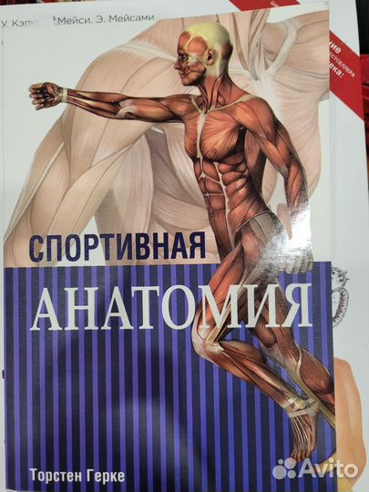 Книги по анатомии, спортивной анатомии, физиологии