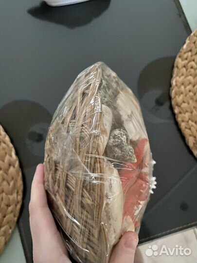 Ракушка декоративная
