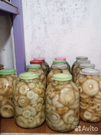 Грибы грузди (соленые)