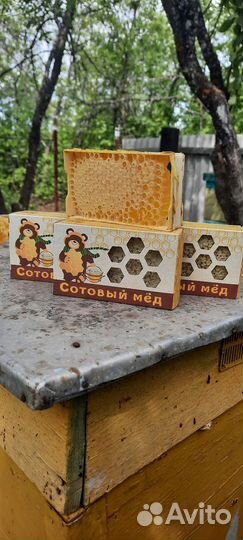 Мёд,Мёд в сотах,орехи с медом,подарочные наборы