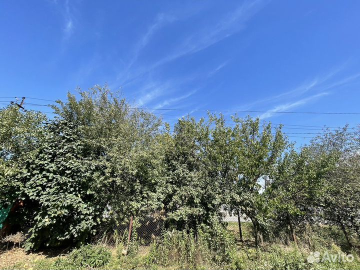 Дрова, деревья на дрова даром