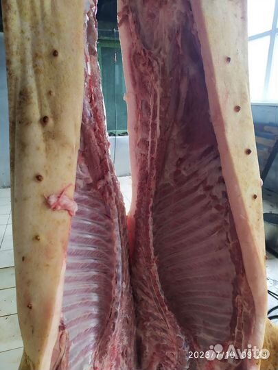 Мясо свинина домашняя