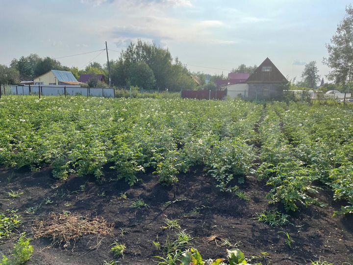 Участок 8 сот. (СНТ, ДНП)