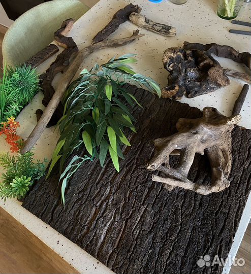 Террариум для рептилий