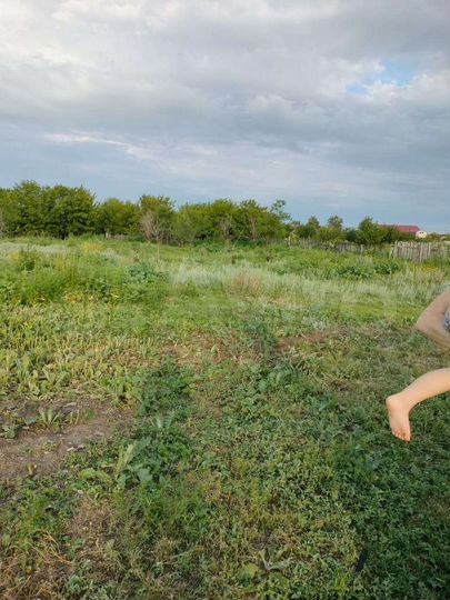 Участок 19 сот. (ИЖС)