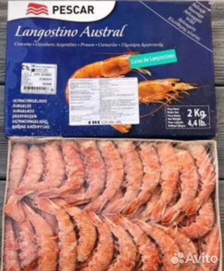 Лангустины L1, L2, C1, CX