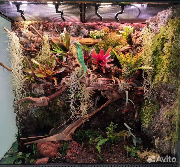 Флорариумы Палюдариумы Террариумы под ключ